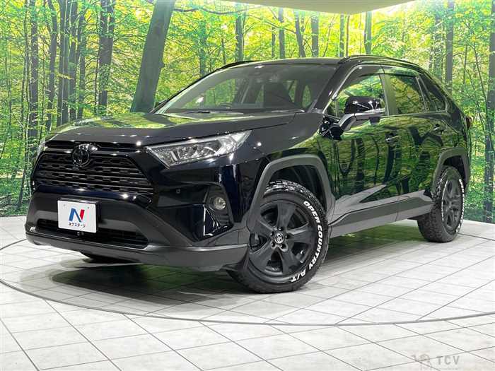 2019 Toyota RAV4