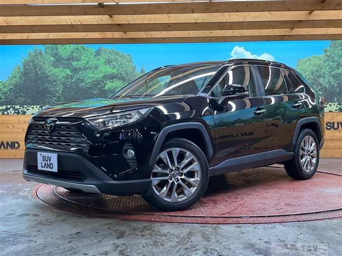 2020 Toyota RAV4