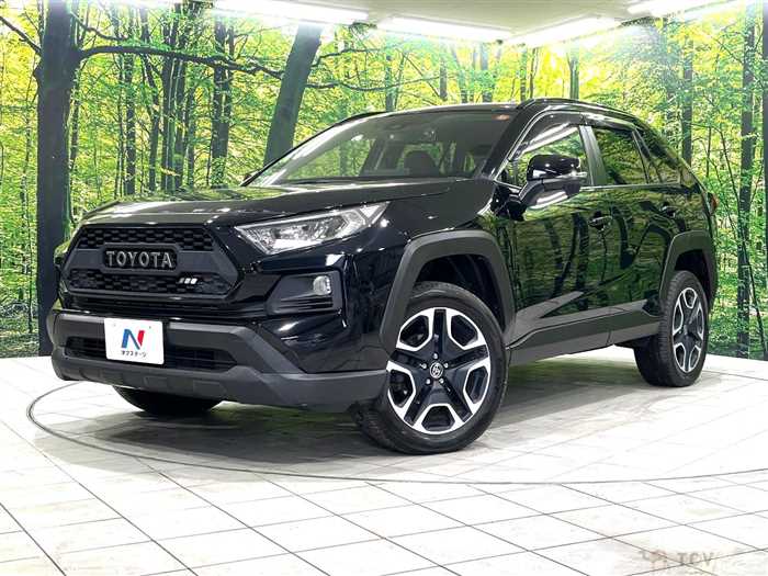 2020 Toyota RAV4