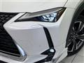 2020 Lexus Other
