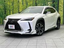2020 Lexus Other