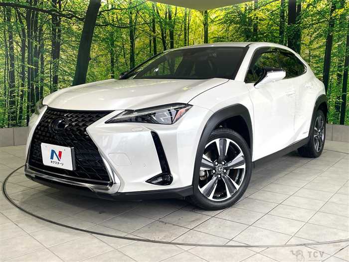 2021 Lexus Other