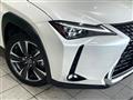 2021 Lexus Other