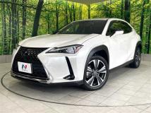 2021 Lexus Other
