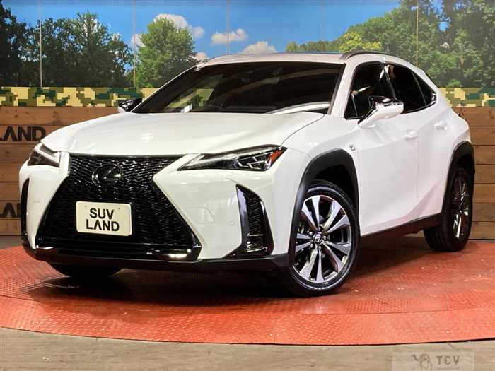2023 Lexus Other