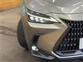2022 Lexus NX