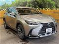 2022 Lexus NX