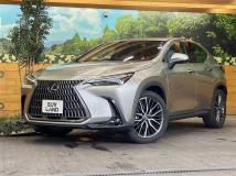2022 Lexus NX