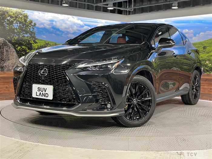 2023 Lexus NX