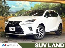 2018 Lexus NX