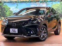 2020 Lexus NX