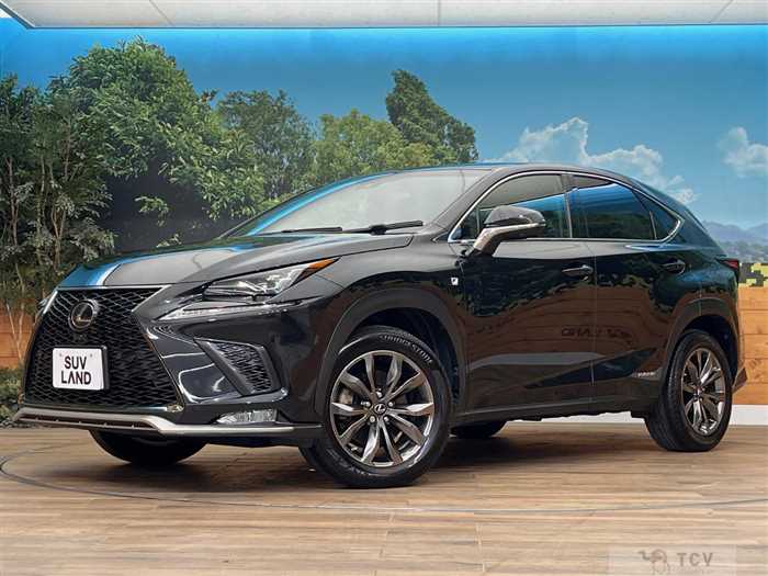 2018 Lexus NX