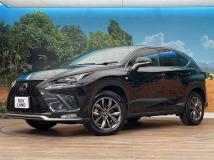 2018 Lexus NX