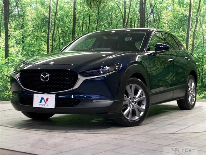 2019 Mazda Mazda Others