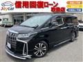 2018 Toyota Alphard G