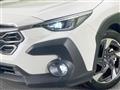 2023 Subaru Subaru Others