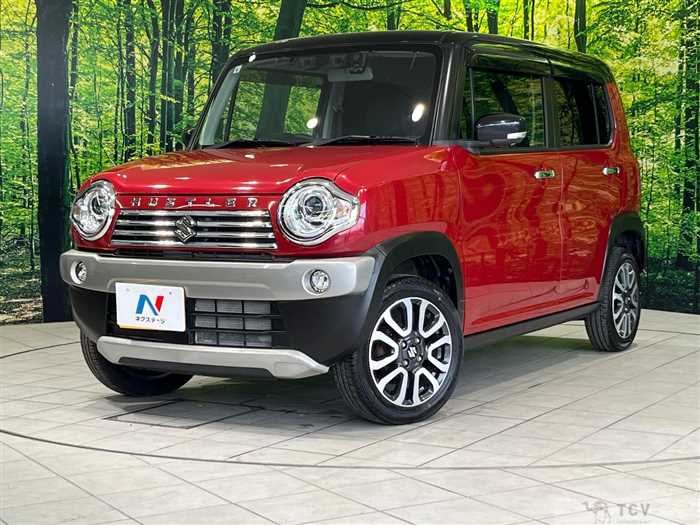 2019 Suzuki Hustler