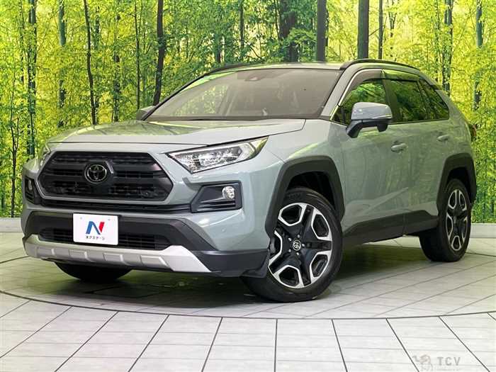 2019 Toyota RAV4