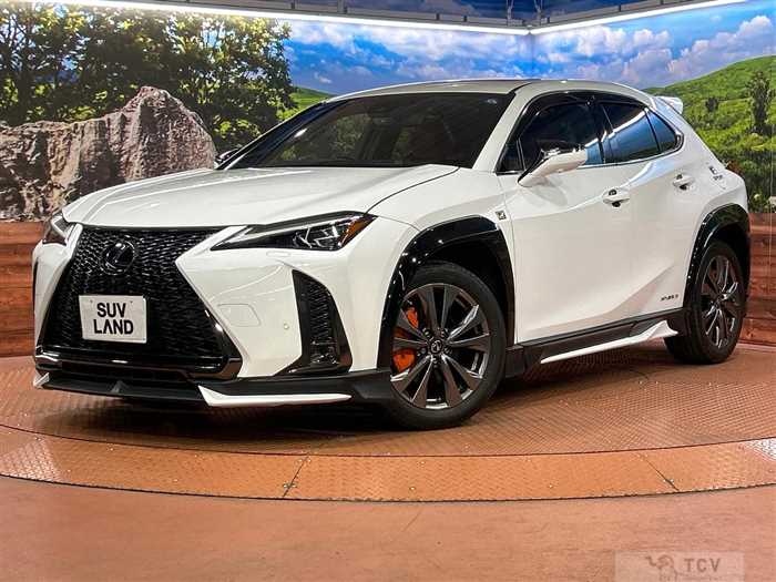 2019 Lexus Other