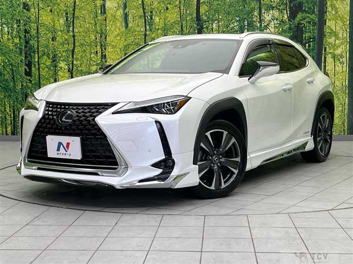 2020 Lexus Other