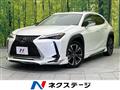 2020 Lexus Other