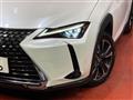 2023 Lexus Other
