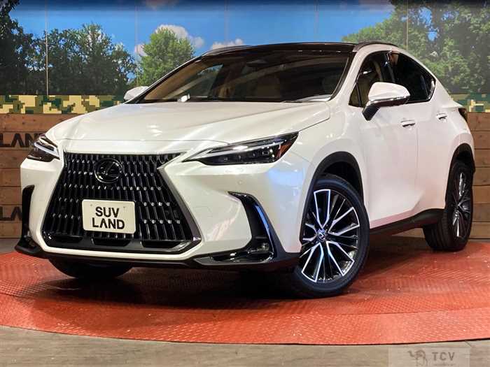 2023 Lexus NX