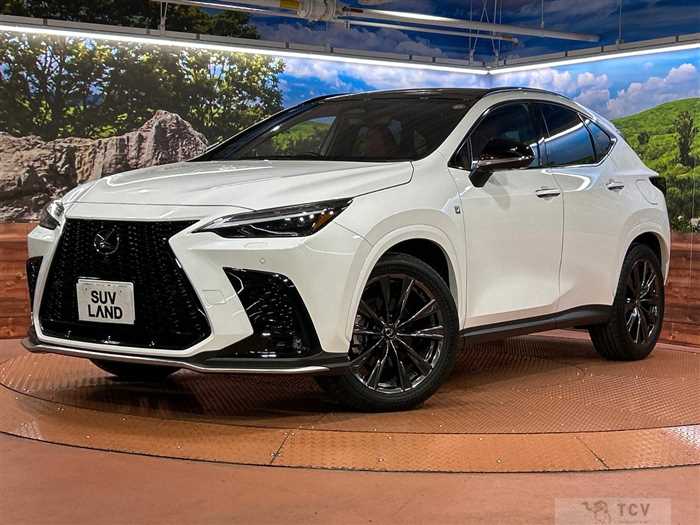 2023 Lexus NX