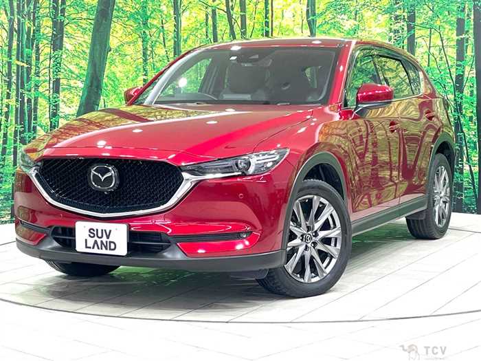 2019 Mazda CX-5