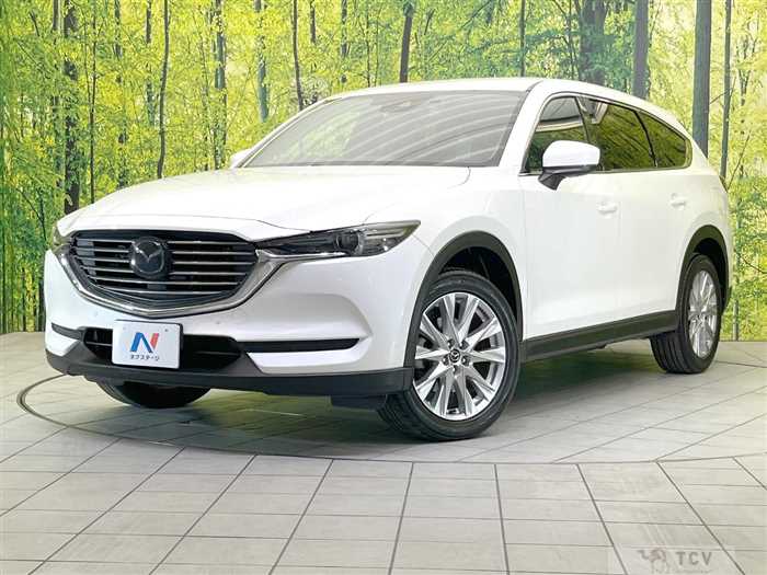 2018 Mazda CX-8