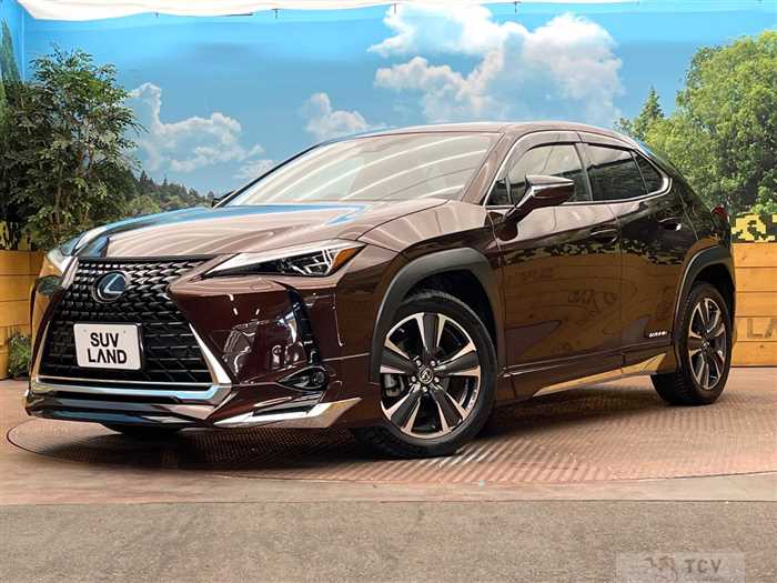 2020 Lexus Other