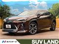 2020 Lexus Other