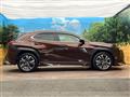 2020 Lexus Other