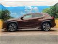 2020 Lexus Other