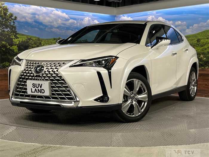 2022 Lexus Other