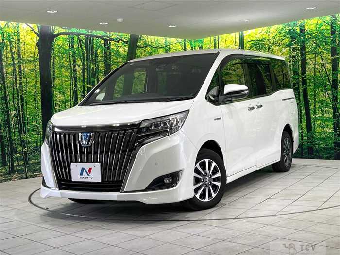 2019 Toyota Esquire