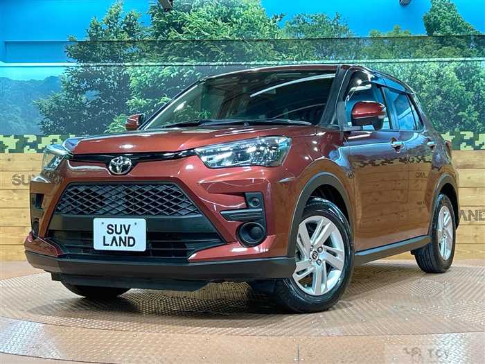 2019 Toyota Raize