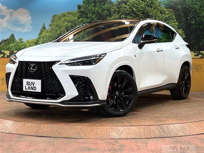 2021 Lexus NX
