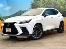 2021 Lexus NX