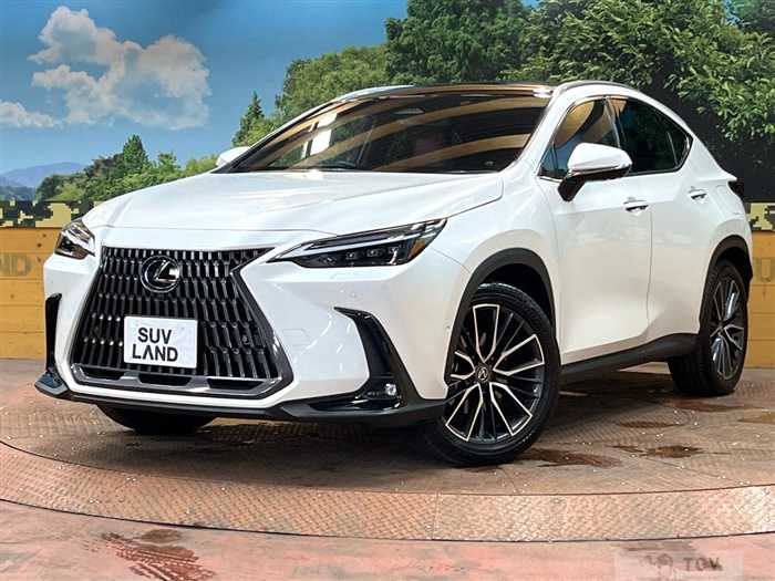 2023 Lexus NX