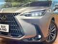 2024 Lexus NX