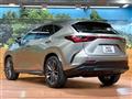 2024 Lexus NX