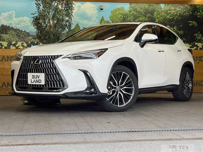 2023 Lexus NX
