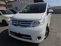 2010 Nissan Serena