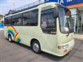 2000 Hino Liesse