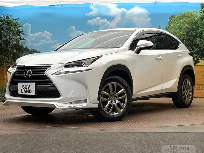 2015 Lexus NX