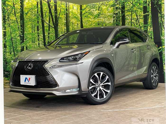 2016 Lexus NX