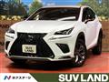 2018 Lexus NX