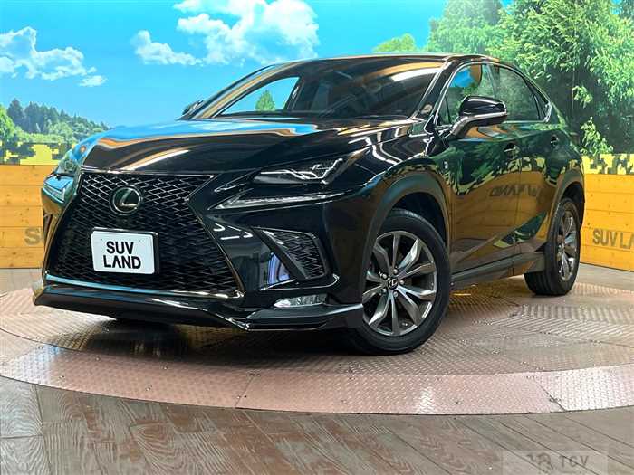 2019 Lexus NX