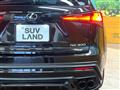 2019 Lexus NX